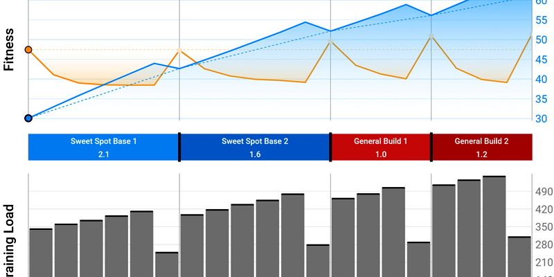 periodization